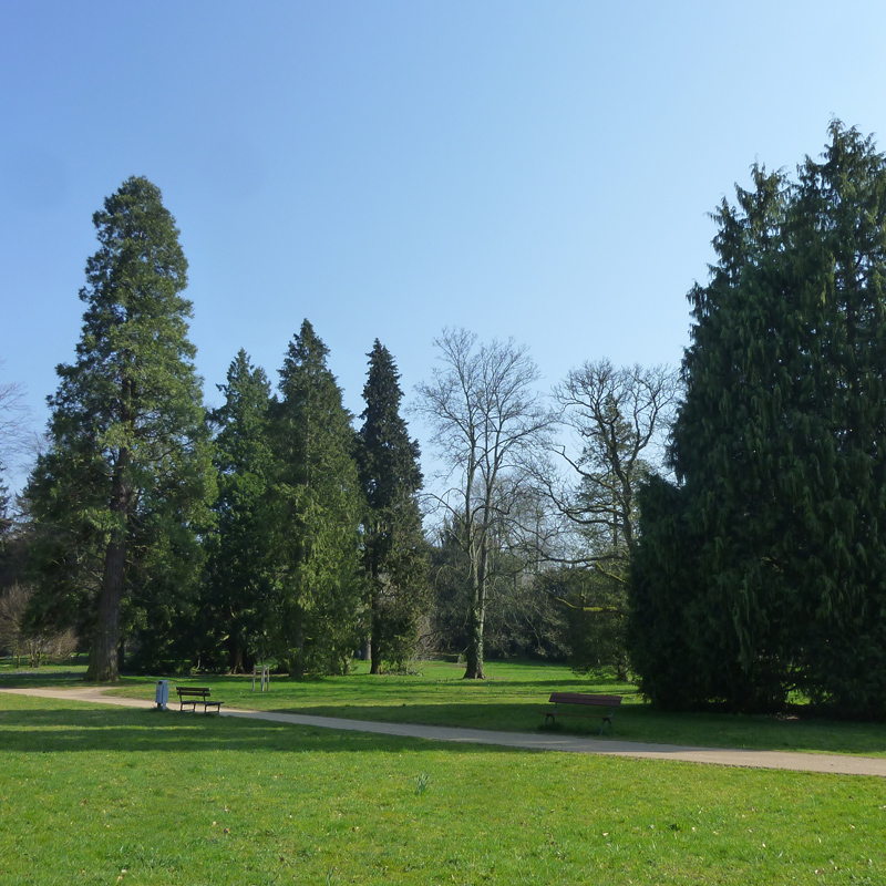Park Rosenhoehe