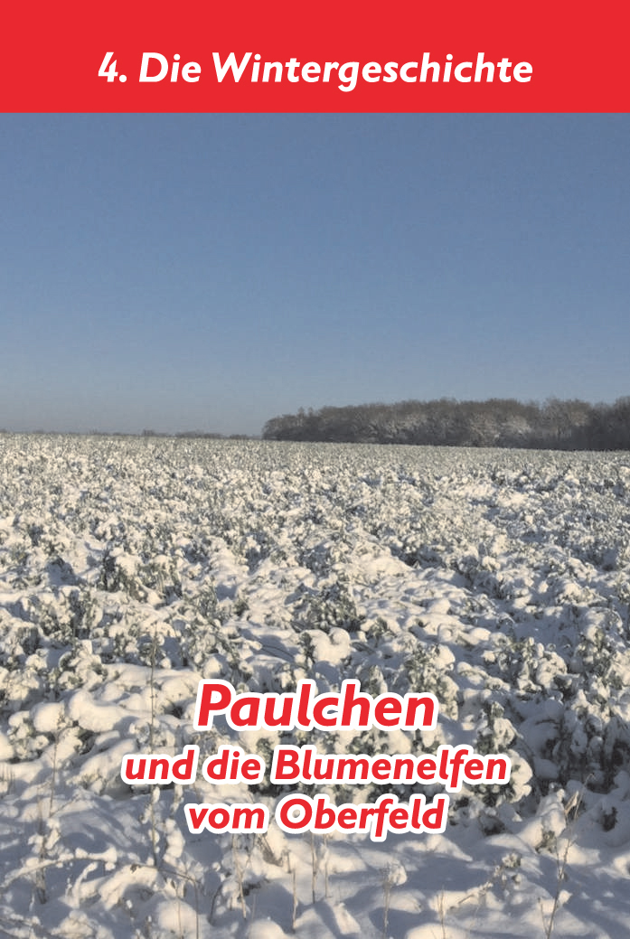 Paulchen_Oberfeld